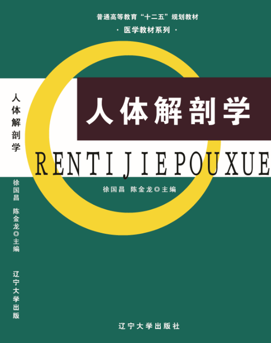 人体解剖学